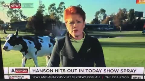 Pauline Hanson flipping the media swipe at her straight back at them