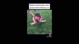 Funny baby tiktok videos of 2021