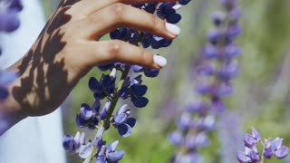 Touching The Flowers In The Field