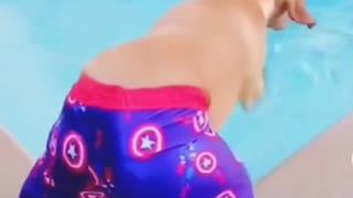 Dog with Captain America shorts