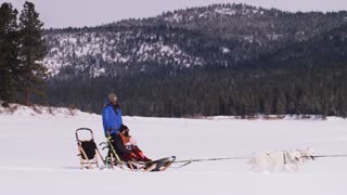 Dog sledding in reno tahoe