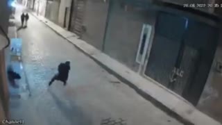 Man Tries to Kick Dog, Gets INSTANT Karma