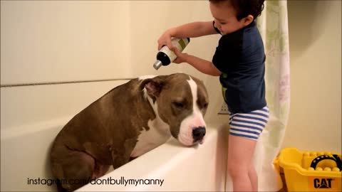 Little boy gives his dog a bath