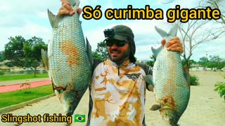 Slingshot fishing from Brasil
