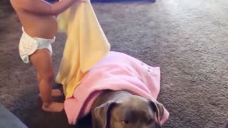 Adorable Babies Playing With Dogs | Baby and Pet Video