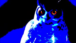 The Best Halloween Poems--Episode 6: "The Owl" By Jeffrey LeBlanc