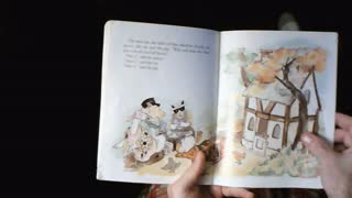 The Little Red Hen Children's Book Read Aloud