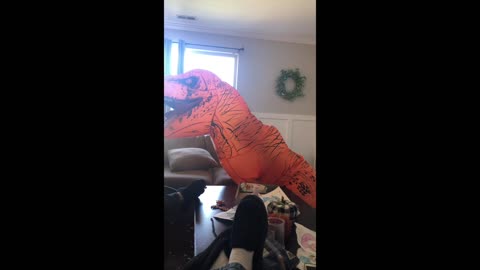 When you put a four year old in a dinosaur costume