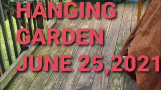 Hanging Garden June 25,2021