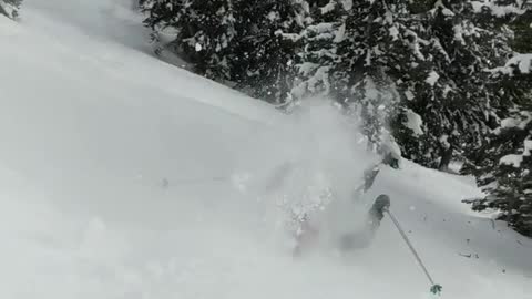 Skier jumps off hill and tumbles down forward