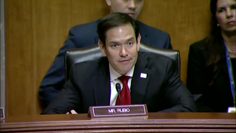 Senator Rubio Questions Witnesses at a Senate Foreign Subcommittee Hearing
