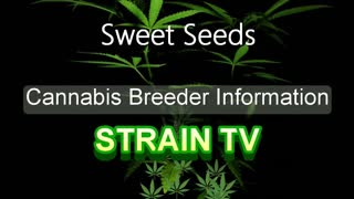 Sweet Seeds - Cannabis Strain Series - STRAIN TV