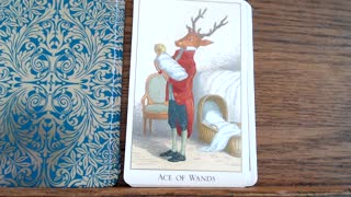 Tarot reading/decks