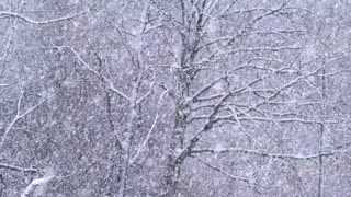 Relaxing, Soothing, Stress Relief Snowy Days Video