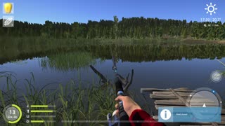 Russian Fishing 4 Mosquito Lake Common Carp