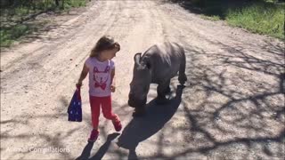 Baby Rhino Charging - FUNNIEST Compilation Video