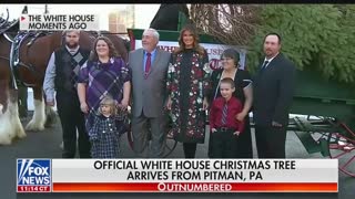 Christmas tree arrives at the White House