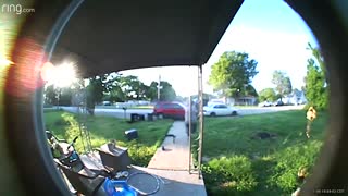 Irrational Driver Flips in Front of Yard