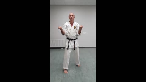 Karate | Okinawan Goju-ryu |Tensho kata (part one)