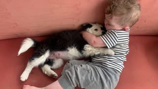 Toddler Sings to Border Collie Puppy