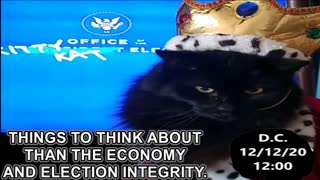An Important Message from the Kitty Kat Elect