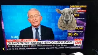 Doctor fauci says no more masks needed