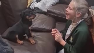 Rottweilers are Family Friendly Dog 😘