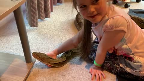 6-year-old girl is a fearless python handler