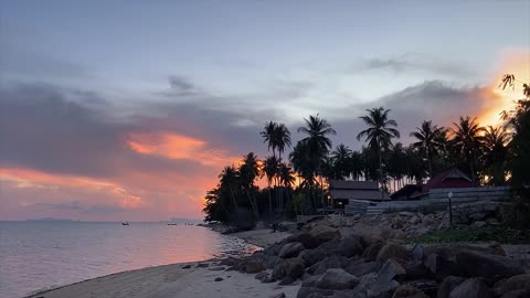 Lapping Tropical Sunset Beach Waves Nature Ambience - 1 Hour Scenic Video