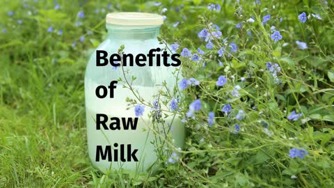 Benefits of Raw Milk