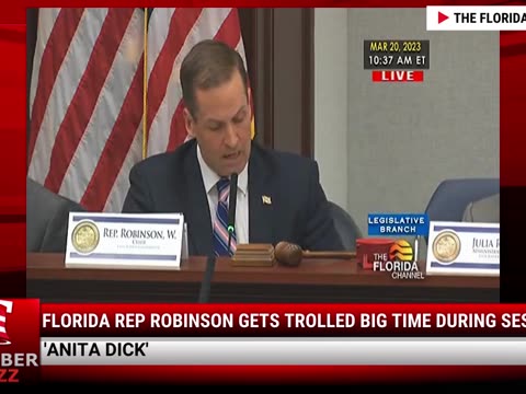 WATCH: Florida Rep Robinson Gets Trolled BIG TIME During Session