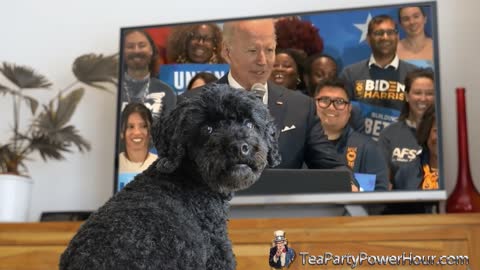 Even My Dog Can See That Joe Biden Is A Pedophile