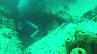 Diving An Old Shipwreck