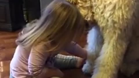 Little Girl Adorably Trains Her Puppy