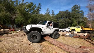 Jeeping over logs