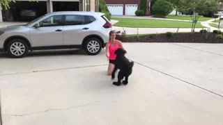 Nurse reunited with her dog after a month of not seeing each other