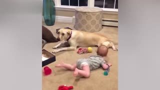 dog imitating little baby