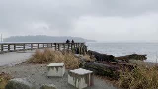 More of West Vancouver Beach