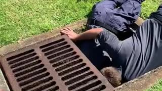 Florida fire crew rescues ducklings from drain