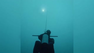 Free Diver Travels Into Darkness Of Frozen Alpine Lake