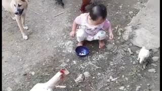 Sweet Little Toddler Helps Feed The Chickens