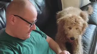 Man Sews Dog's Favorite Toy Back Together
