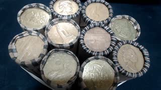 Coin Hunt 1 dollar Canada