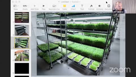 Learn to Grow and Sell Microgreens