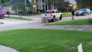 Someone's illegal pet tiger got loose in a Houston neighborhood