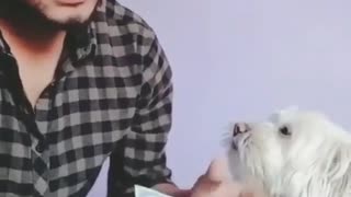 Funny Video human tricks