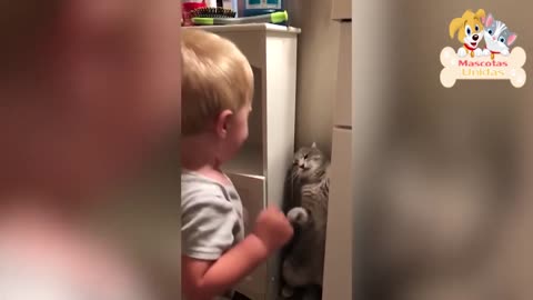 SUPER CUTE baby and cat moments
