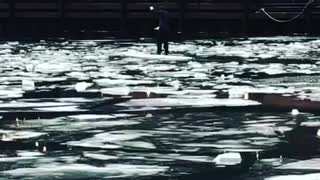 Guy paddleboards in chicago river after the polar vortex