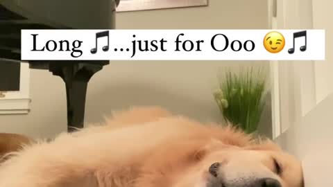 dog. Sleep. Sing at the end of the week.