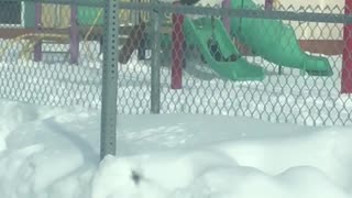 Abominable Snowman Seen on Playground Swing